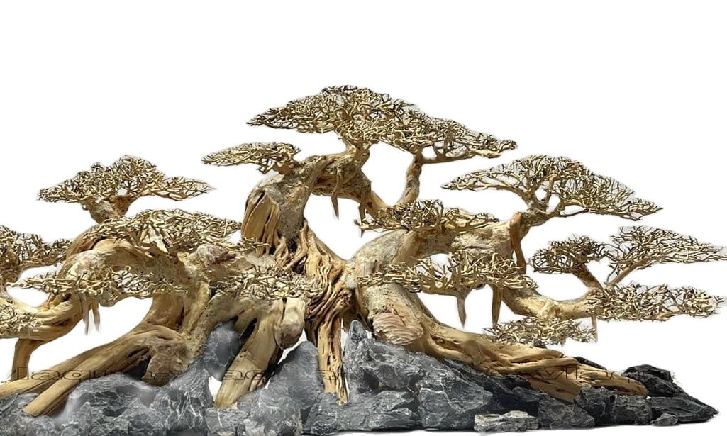 [Lấy mã giảm thêm 30%] Lũa Xương Chùm | Lũa Tán Quýt Mini | Lũa Tán Bonsai Tự Nhiên Cho Bể Thuỷ Sinh