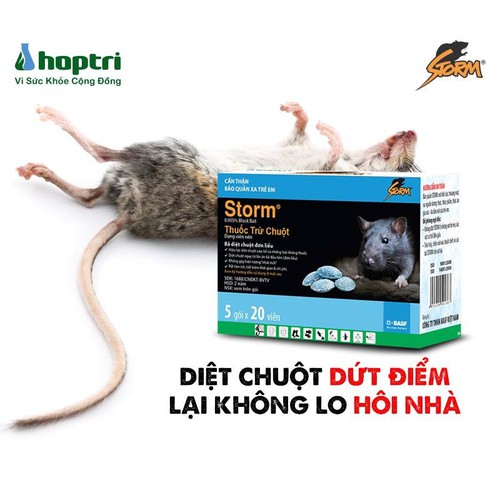 (Shocking Price) Storm Rat Killer 20 Tablets