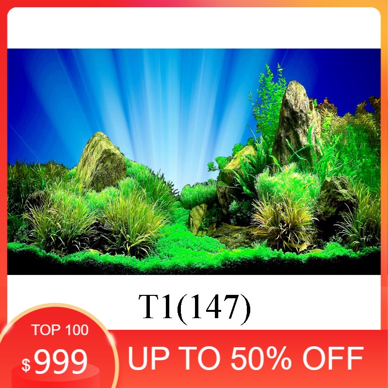 Tranh 3d dán bể cá(kt 60x40, 80x40, 80x50 , 90x50, 100x50...)