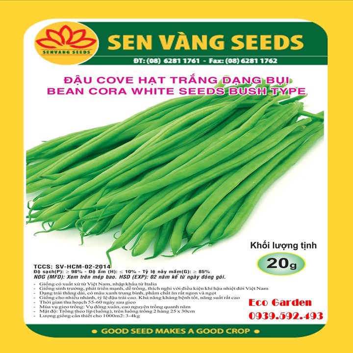 Hạt giống đậu Cove hạt trắng dạng bụi - 20GR