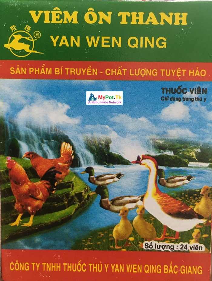 Chinese Medicine for Bird
