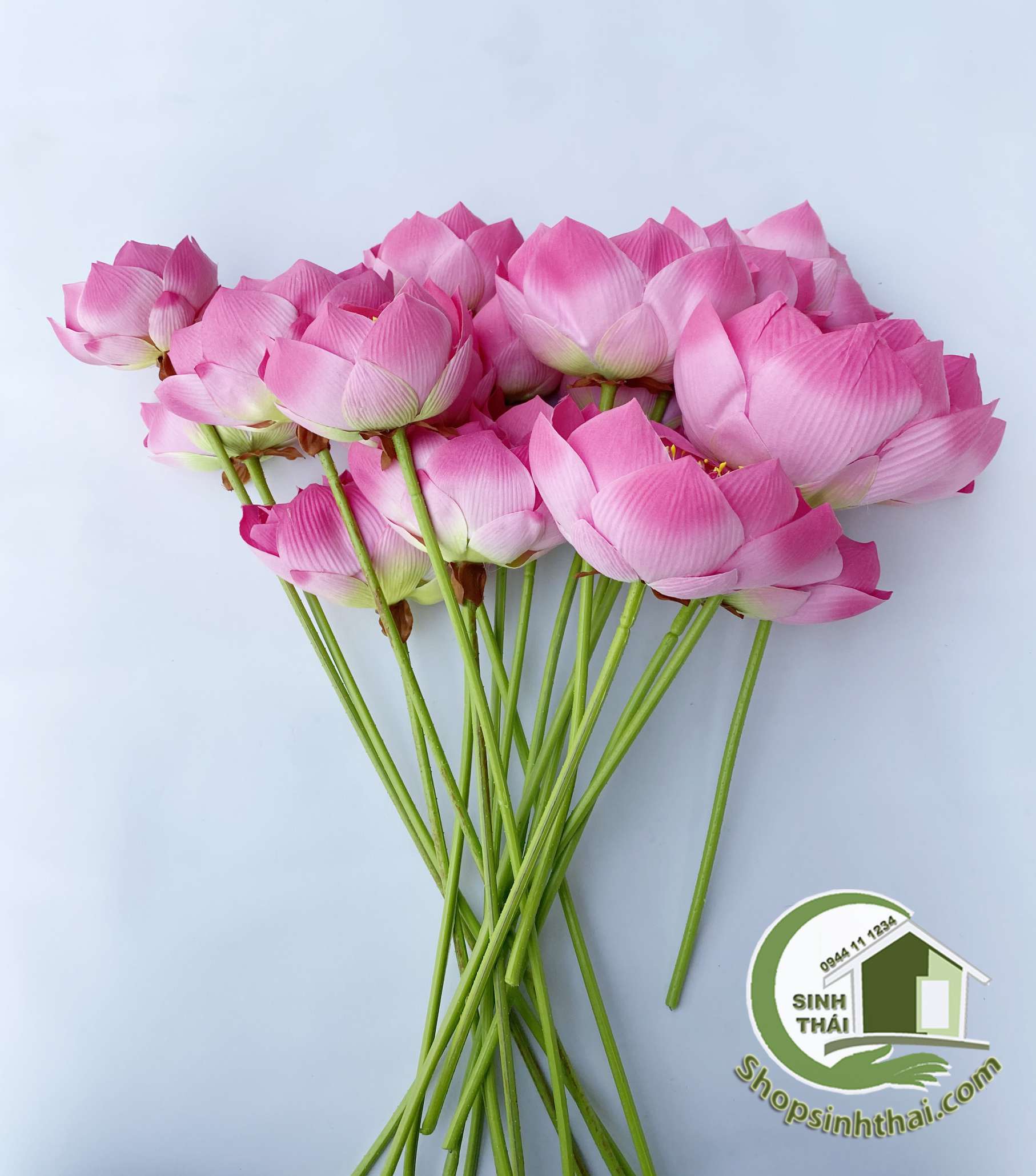 Cành nụ hoa sen giả màu hồng, trắng, hoa sen nở màu hồng - cành sen vải lụa cao cấp - Chọn loại
