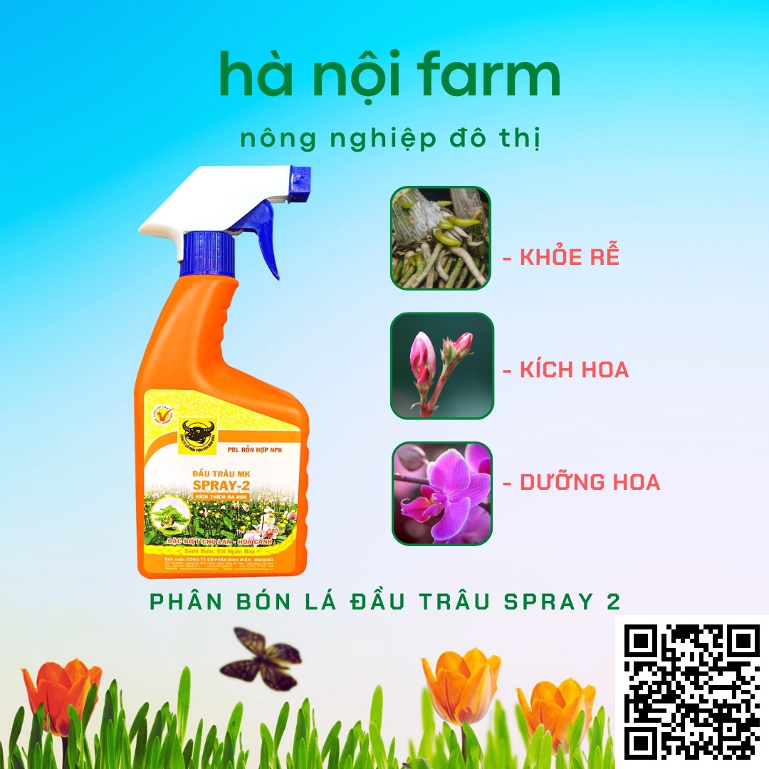 Phân bón lá dạng bình xịt mk đầu trâu spray 2 500ml chuyên cho hoa - cây cảnh kích thích ra hoa