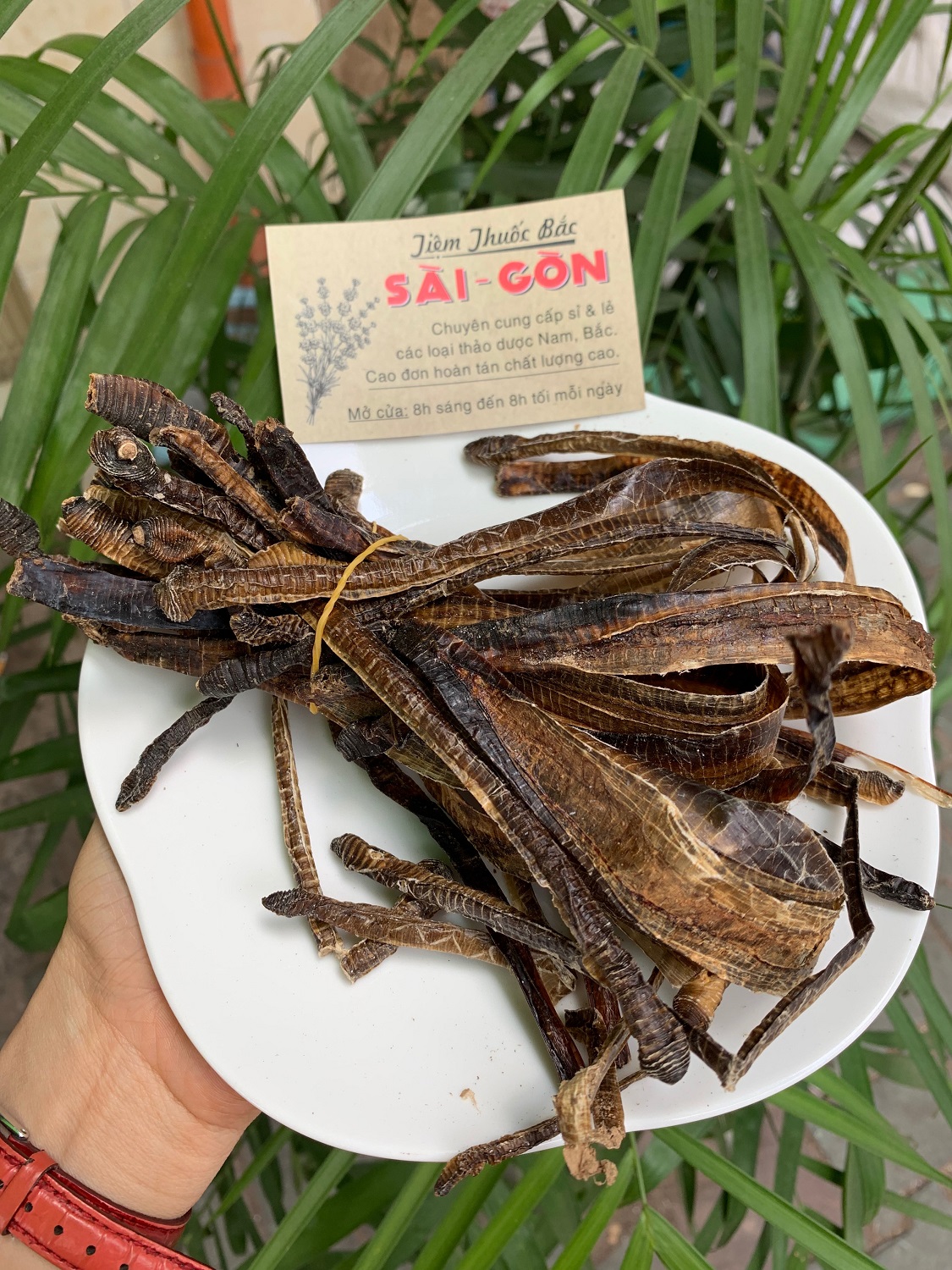 [HCM]Địa Long Khô Sạch Đẹp 100g