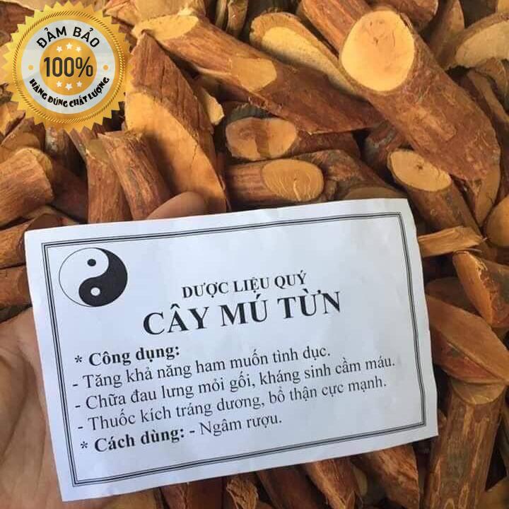 Mu Tien Tree - a Symbol of Masculine Class