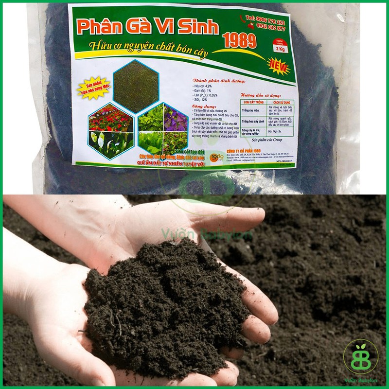 Phân Gà Vi Sinh 2KG