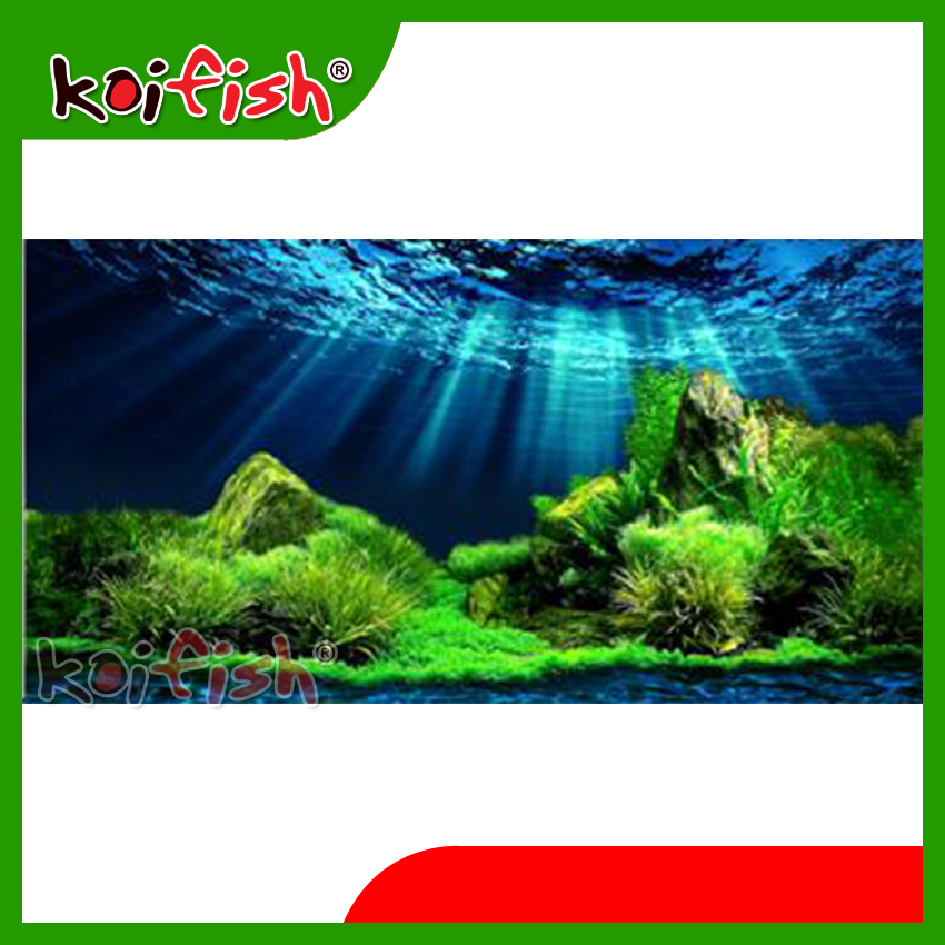 Tranh Koifish -  đặc biệt, ấn tượng, có sẵn keo, Aqb20-359,  kích thước, 60x40, 40x40cm