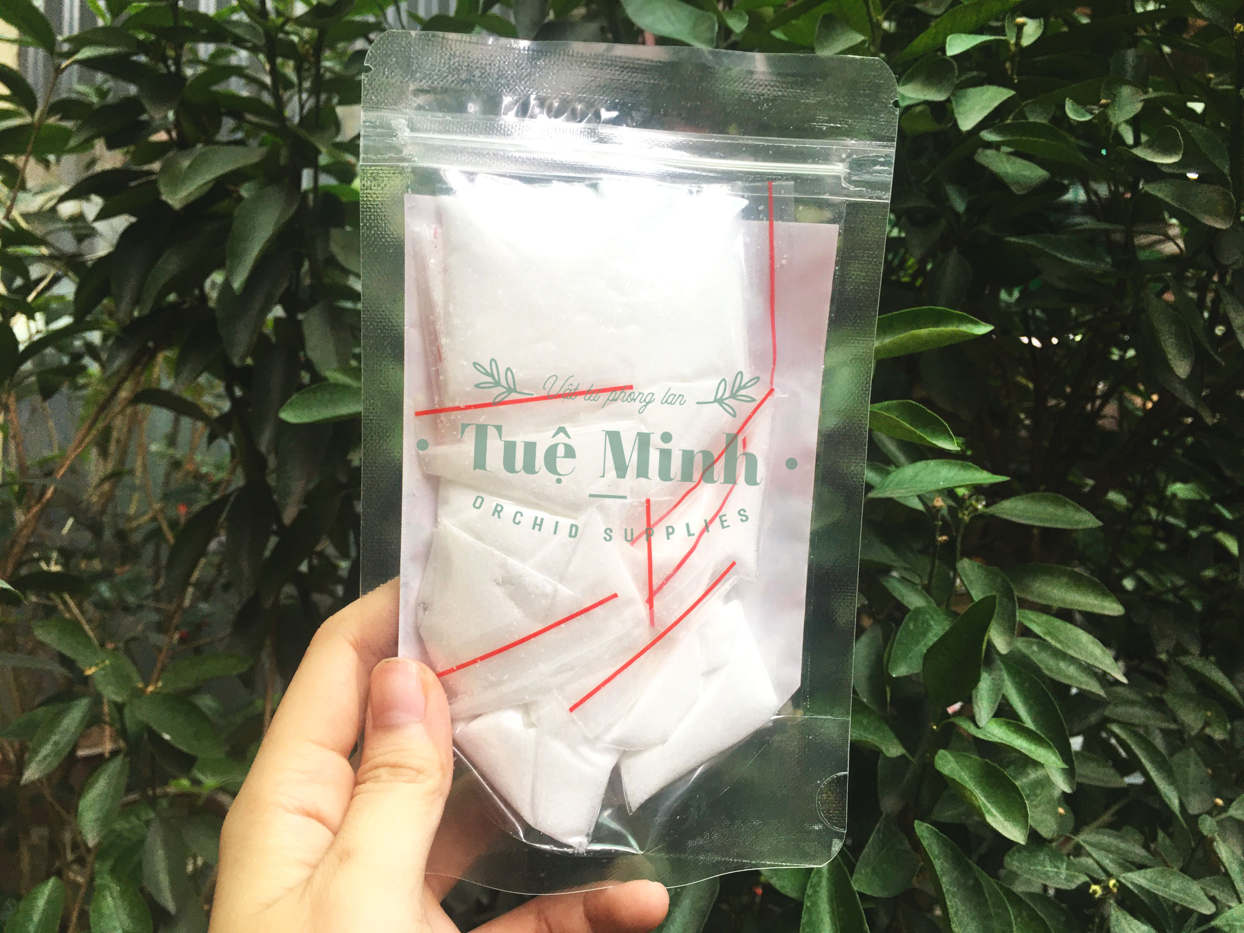 Phân bón kích thích ra hoa cho cây hoa giấy