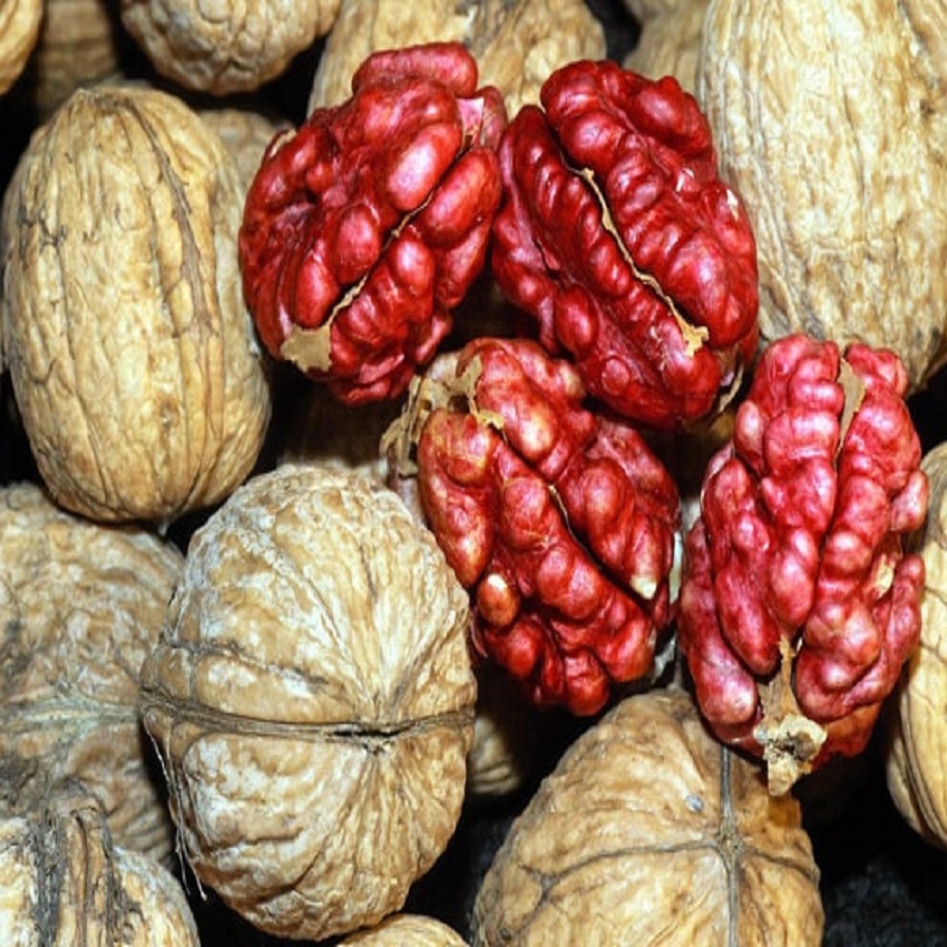 Óc chó Hà Giang nhân đỏ đã tách vỏ DALAKNUTS - 500g