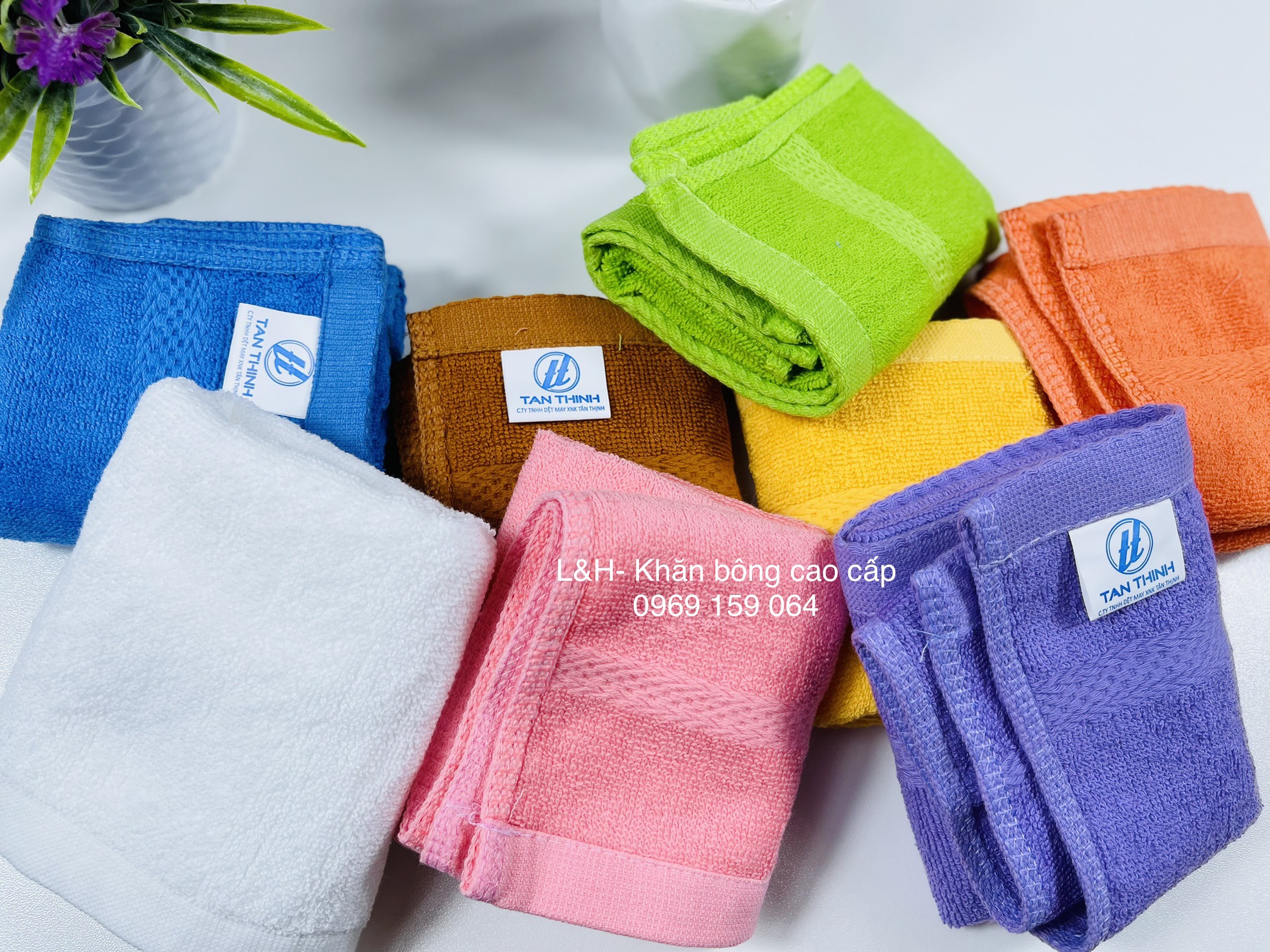 Khăn mặt màu cotton Tân Thịnh, Kt 30x50cm