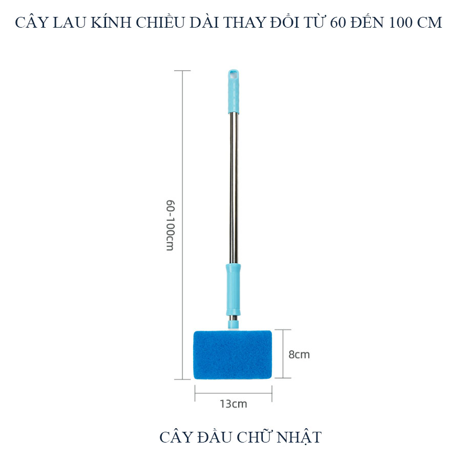 CÂY LAU KÍNH HỒ CÁ HỒ THỦY SINH