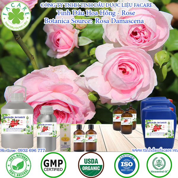 Tinh dầu Hoa Hồng rose essential oil - 10ml