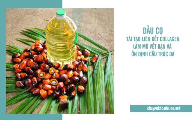 Combo 2 chai tinh dầu cọ trị rạn da Malaysia
