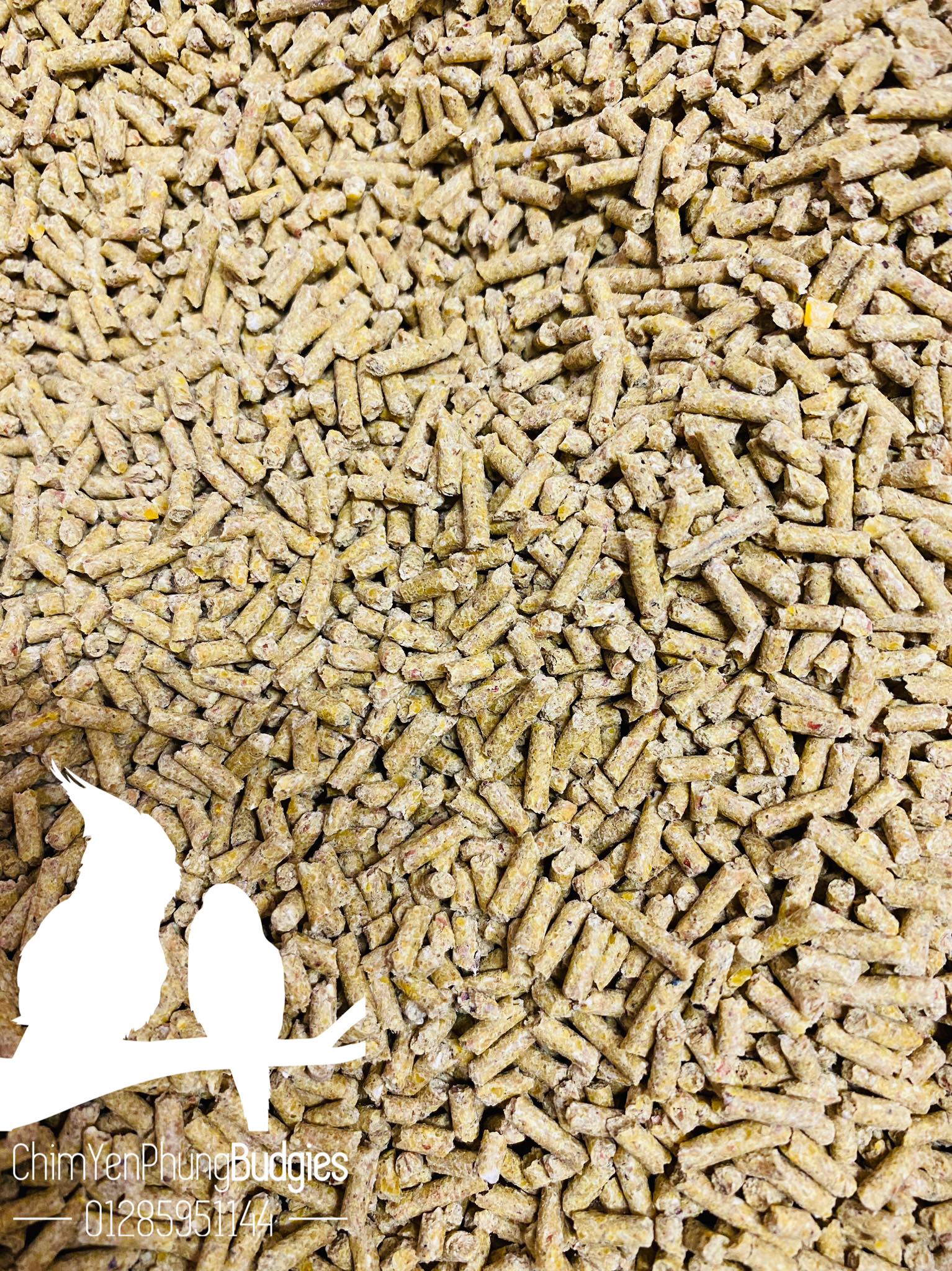 1KG cám thanh bình dinh dưỡng cho gà (thức ăn hỗn hợp, thức ăn gà)