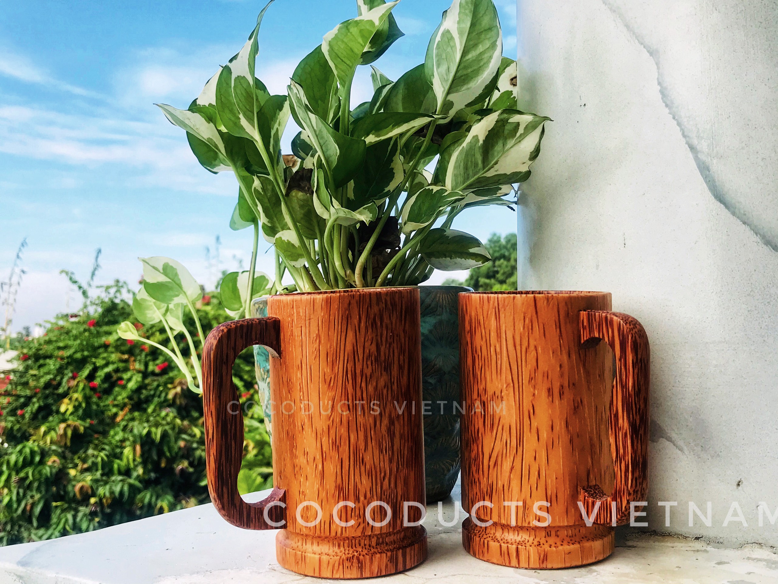 Ly uống nước gỗ dừa
