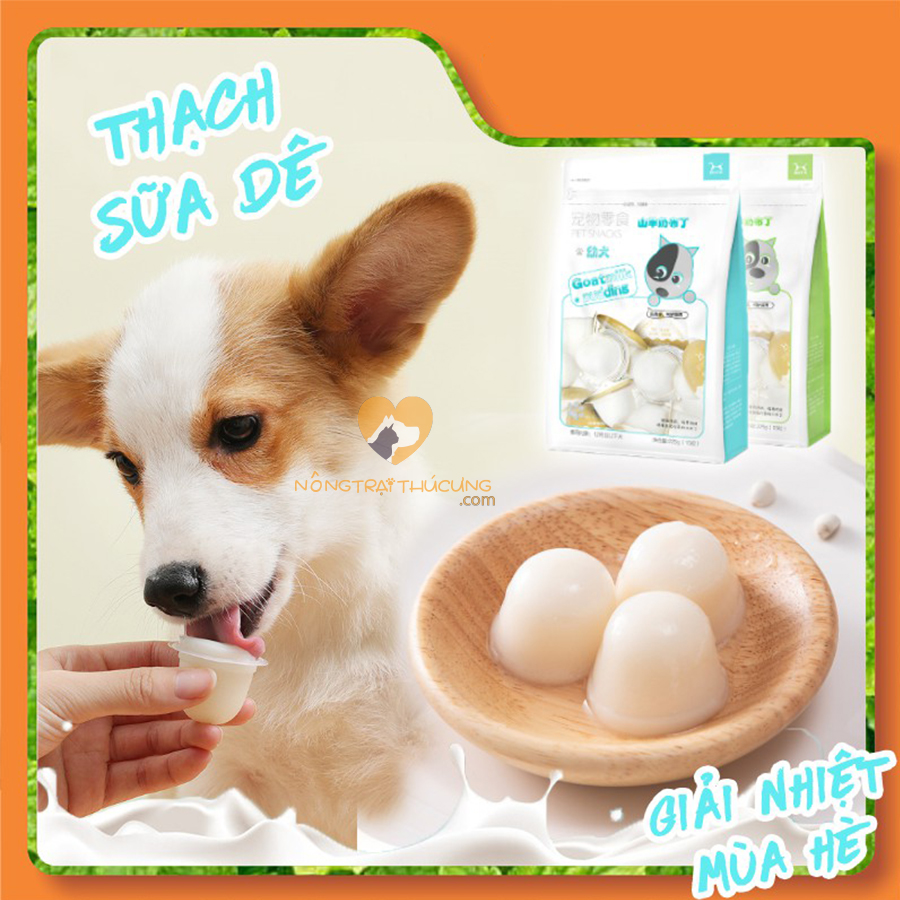 Pudding Thạch Sữa Dê Bổ Sung Canxi Cho Chó - [Nông Trại Thú Cưng]