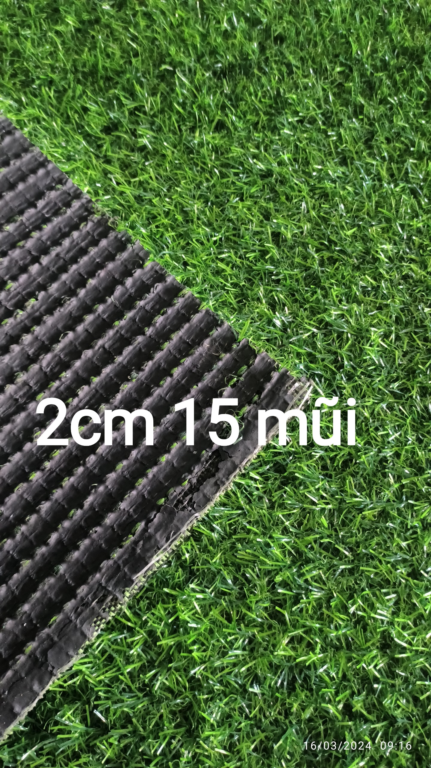 (lẻ size) Thảm cỏ nhân tạo 2cm đế dày (loại 2cm 15 mũi, quý khách đọc kỹ mô tả)