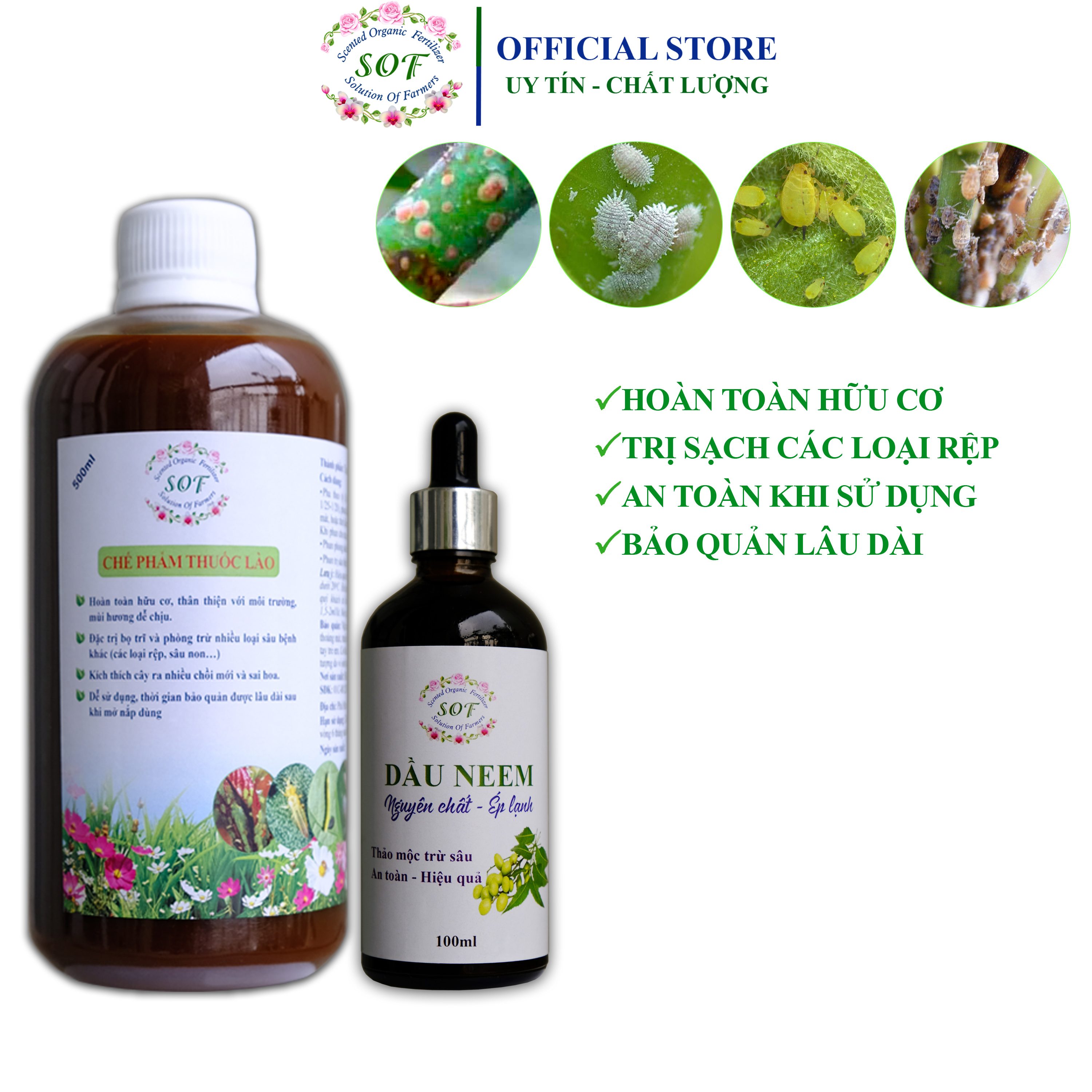 Thuốc sinh học trị rệp, diệt rệp sáp, trừ rệp vảy, rầy…