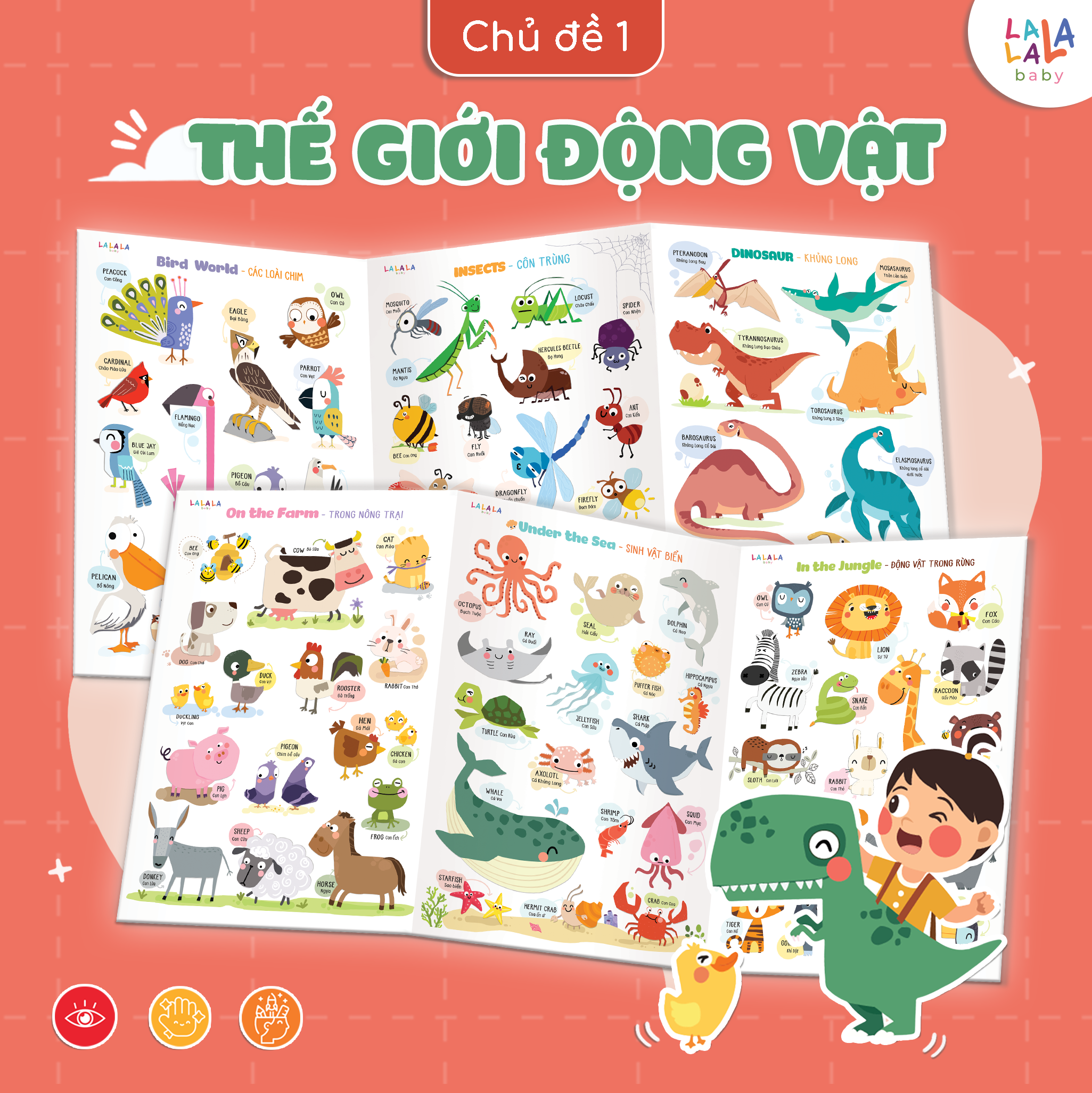 BẢNG GẤP THÔNG THÁI - MY FIRST LEARNING CHART