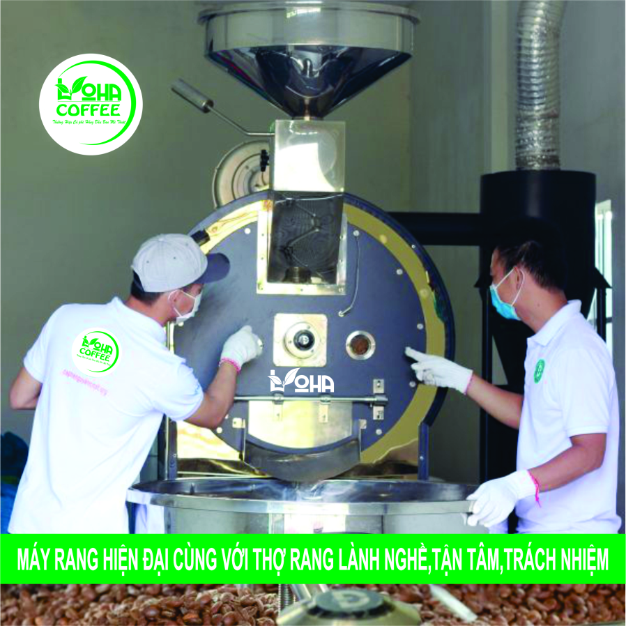 500gr Cà Phê Hạt Arabica Đà Lạt Rang Mộc Dạng Hạt Pha Máy -LOHA COFFEE