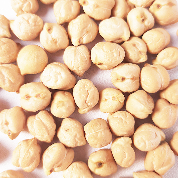 Đậu Chickpeas túi 1 kg