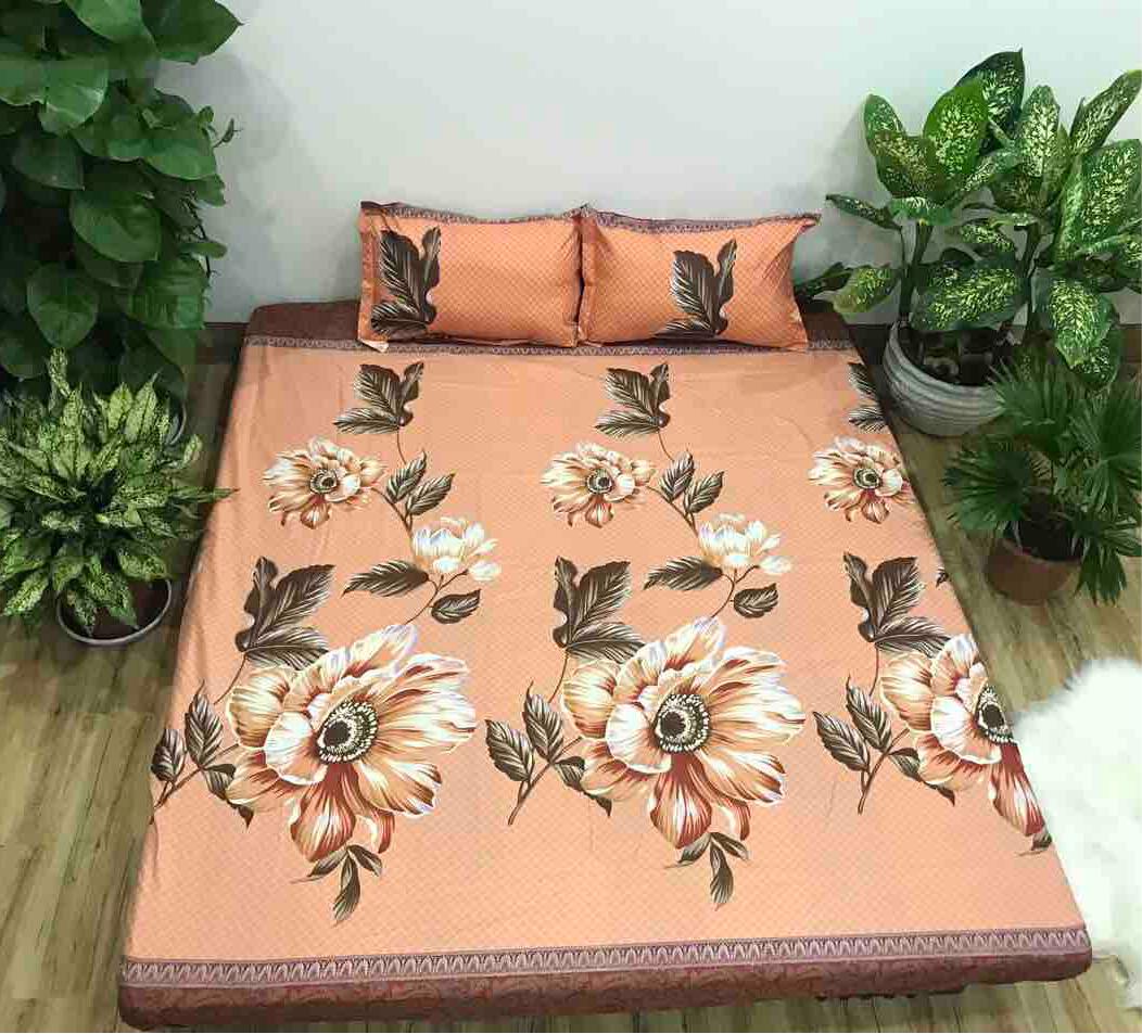 Bộ ga gối cotton poly - trà nâu