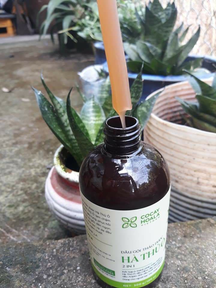 Dầu gội đầu HÀ THỦ Ô ( Cocayhoala)