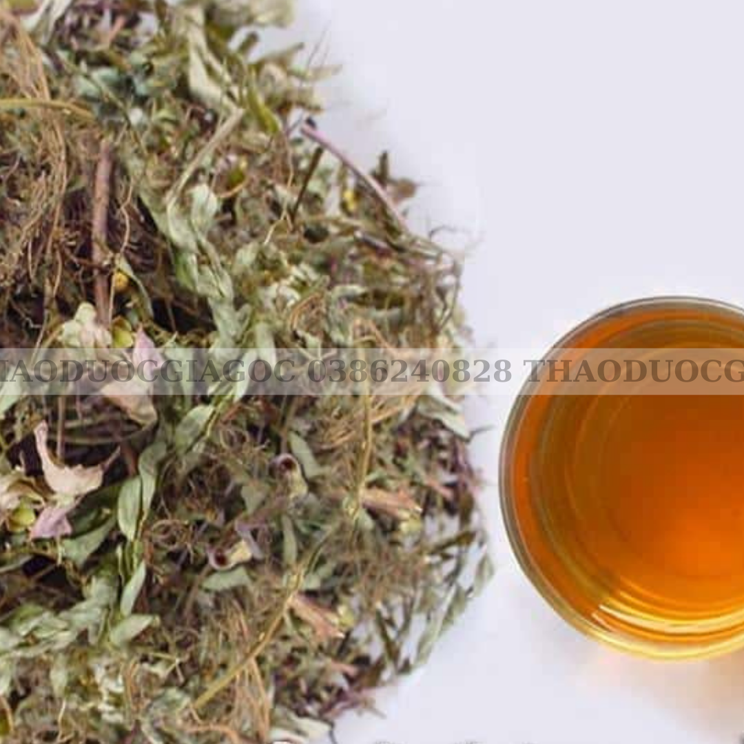 Diệp hạ châu(lá chó đẻ răng cưa) 1kg khô thơm sạch.