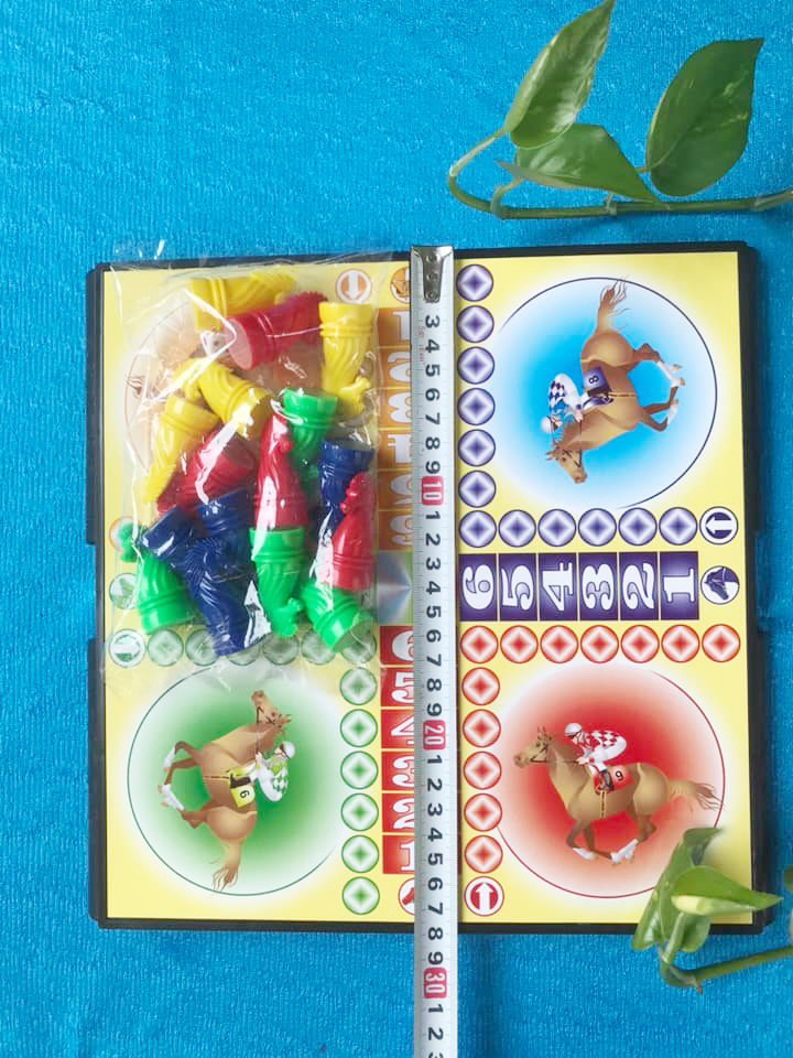 Bàn Cờ Cá Ngựa Nhỏ . Ảnh Thật