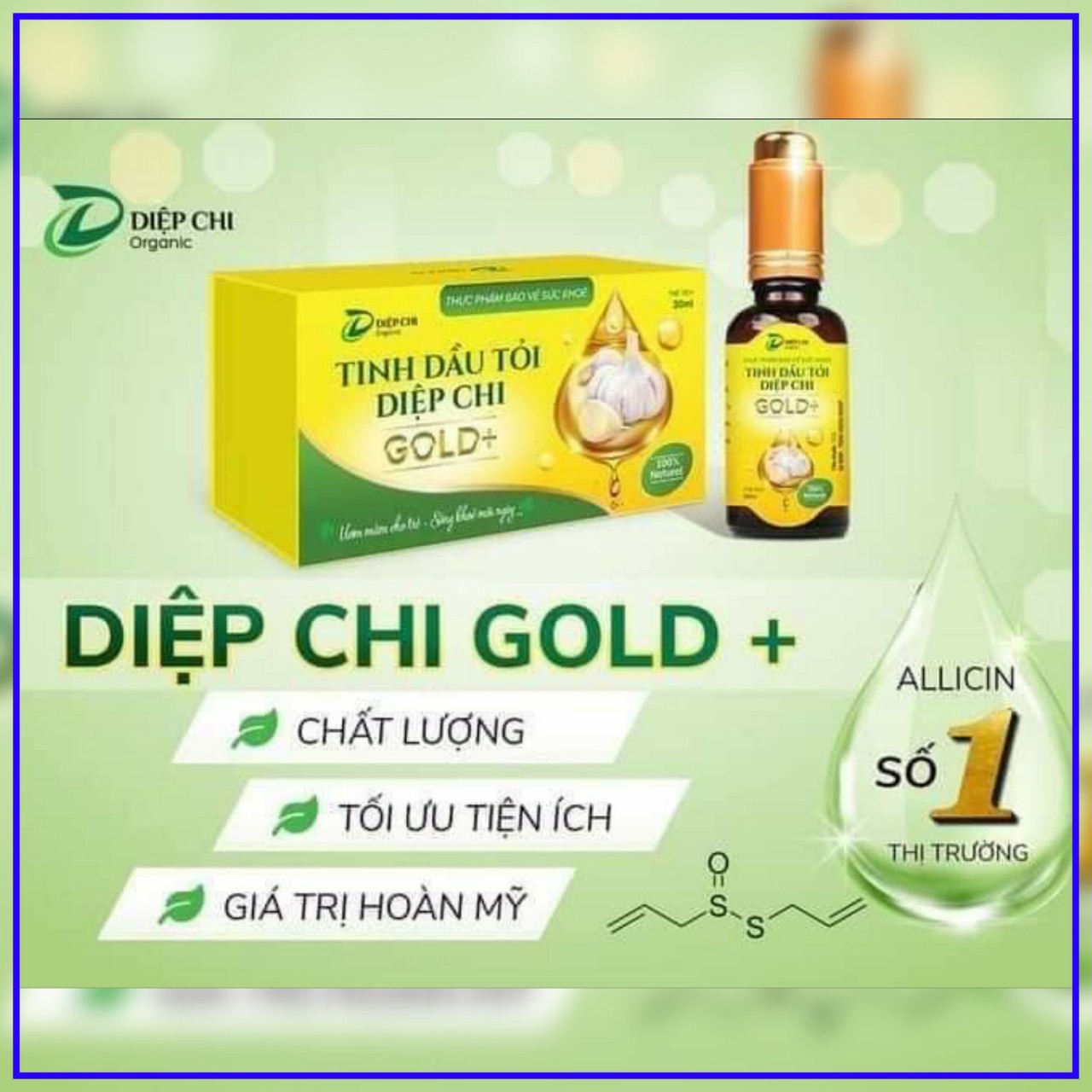 DAU TOI DIEP CHI