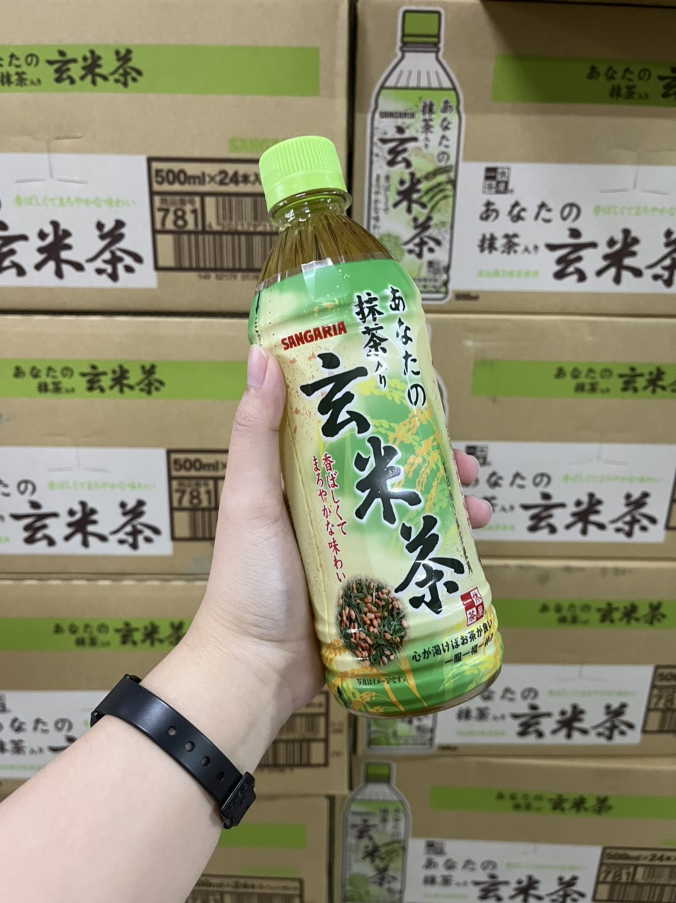 Trà gạo lứt Matcha Sangaria 500ml - Thùng 24 chai [ HSD 31/08/2025 ]