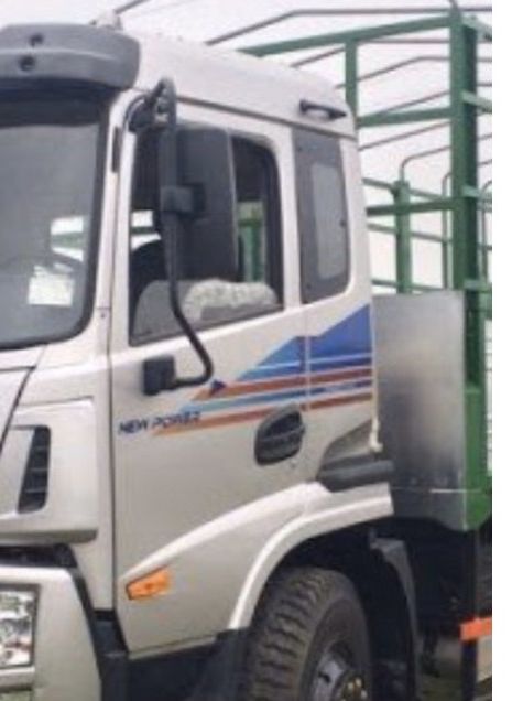 Tem dán xe tải Trường Giang , Tem DongFeng