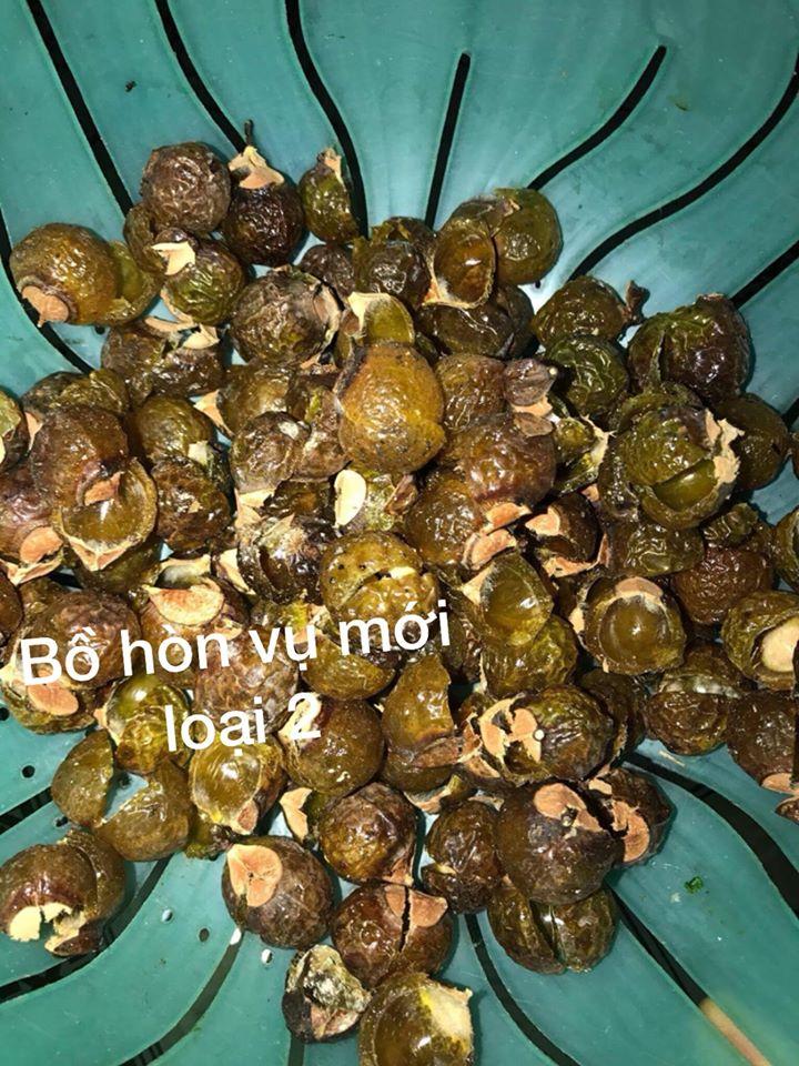 Quả bồ hòn loại 1 ( đã tách hạt) 1kg