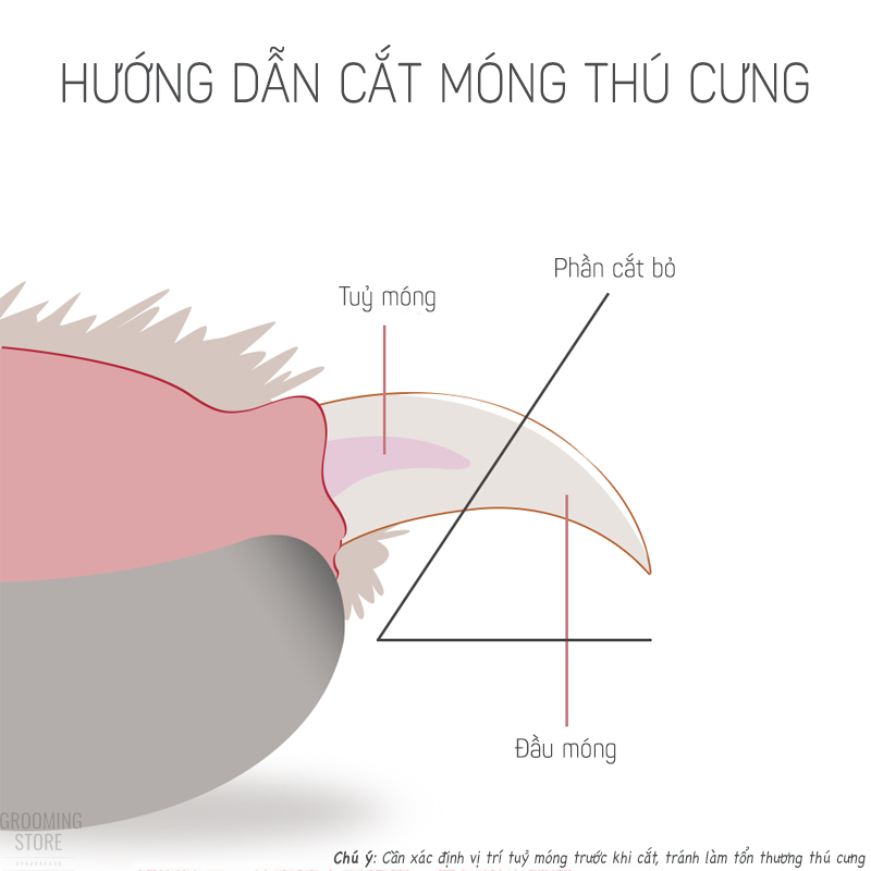 Kìm cắt móng chó mèo - Kìm cắt móng thú cưng - Tặng dũa móng (Size 15.5*6.5cm)