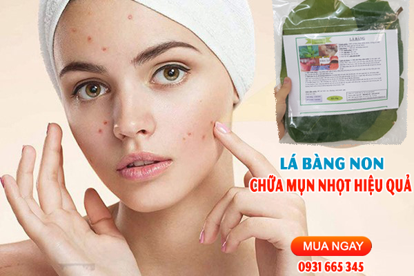 Lá Bàng  Tươi 1KG - Dược Liệu Thanh Bình