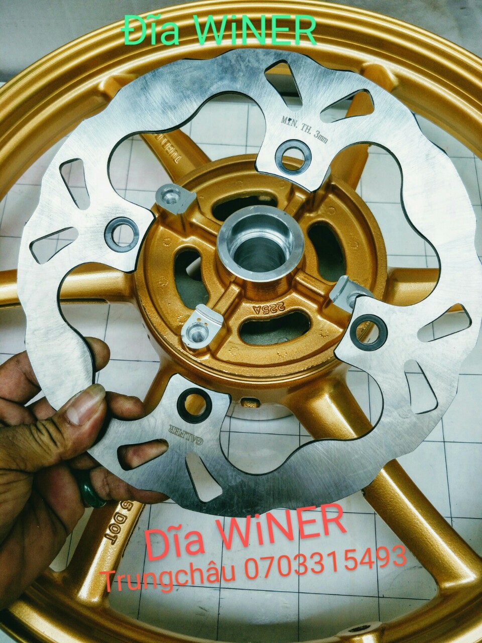 [HCM]Dĩa kiểu WINER