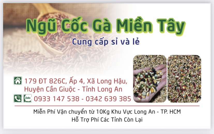 Ngũ Cốc Cao Cấp Dành Cho Chiến Kê ( GÀ )
