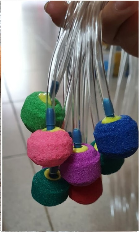 Combo 2 quả sủi + 2 mét dây oxi hồ cá