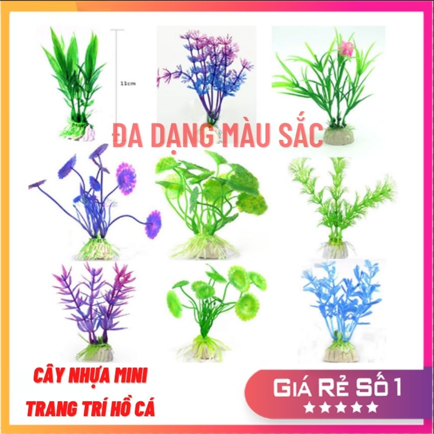 CÂY CẢNH MINI TRANG TRÍ HỒ CÁ