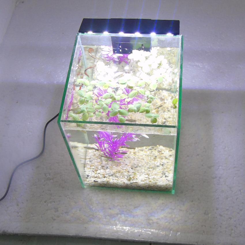 Bể cá mini để bàn 15x15x20cm + Đèn