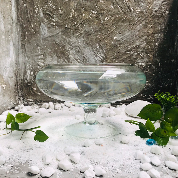 Bể cá để bàn -Bể Cá thủy Tinh Hồ Cá Mini Chậu Cây Có Chân - DC02