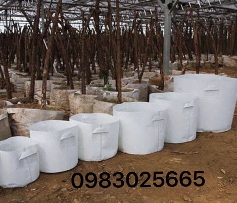 set 10 túi vải trồng cây KT 30x35- có quai xách