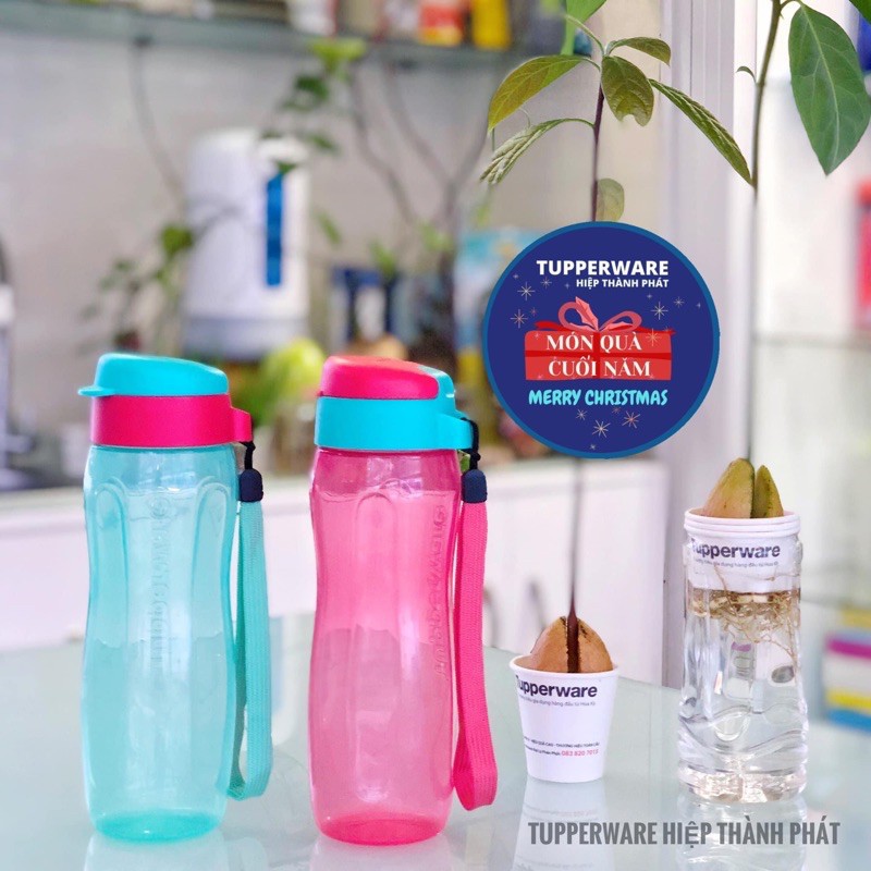 [HCM]Bình Nước Eco Bottle Gen 2 500ML