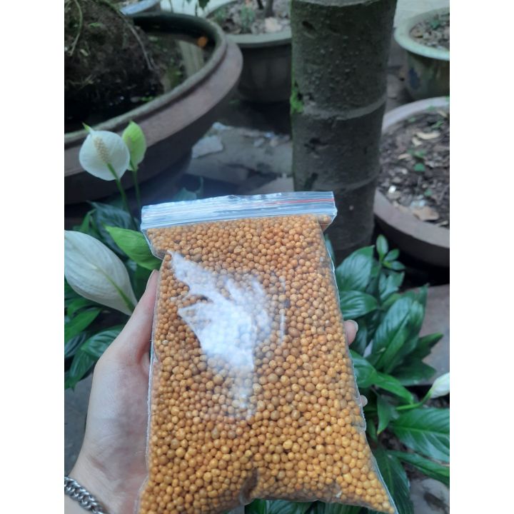 100gr phân tan chậm hạt vàng Oscomote 14.14.14