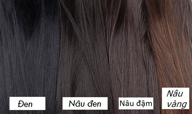 Kẹp búi tóc thời trang trung niên cao cấp
