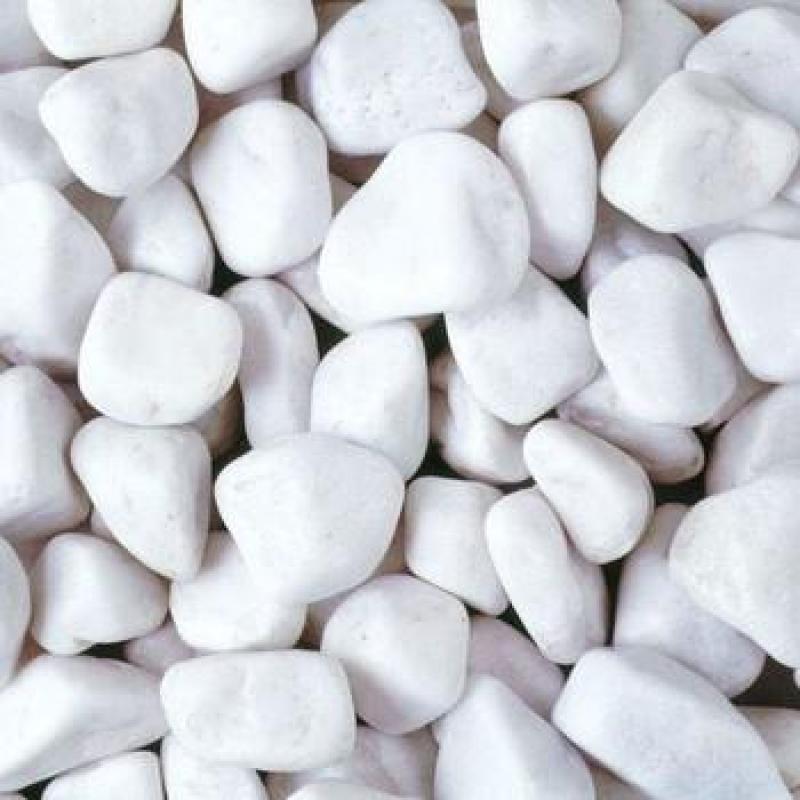 Combo 5 kg sỏi trắng viên lớn