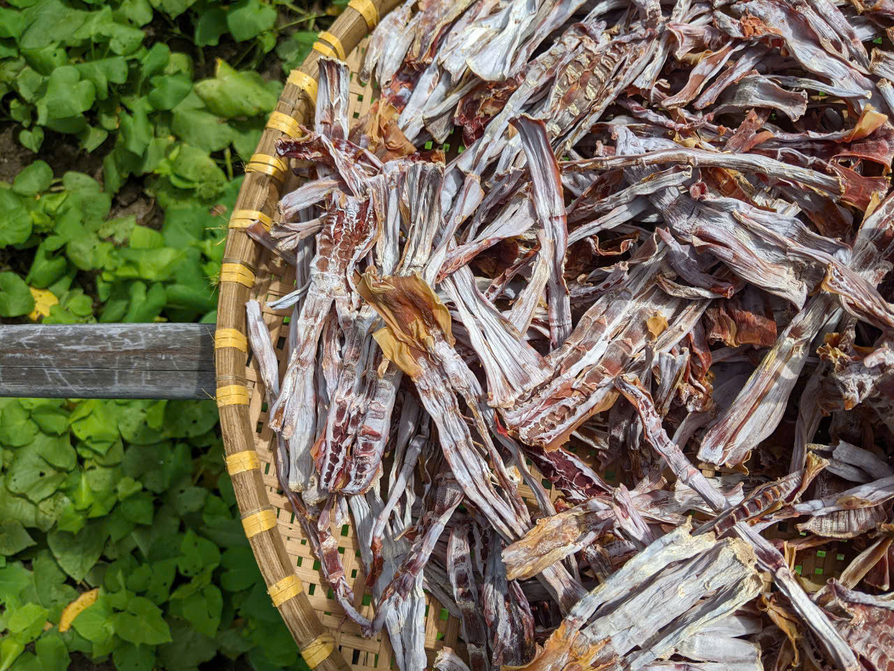 MĂNG LE KHÔ ÔNG THẮNG - 150G