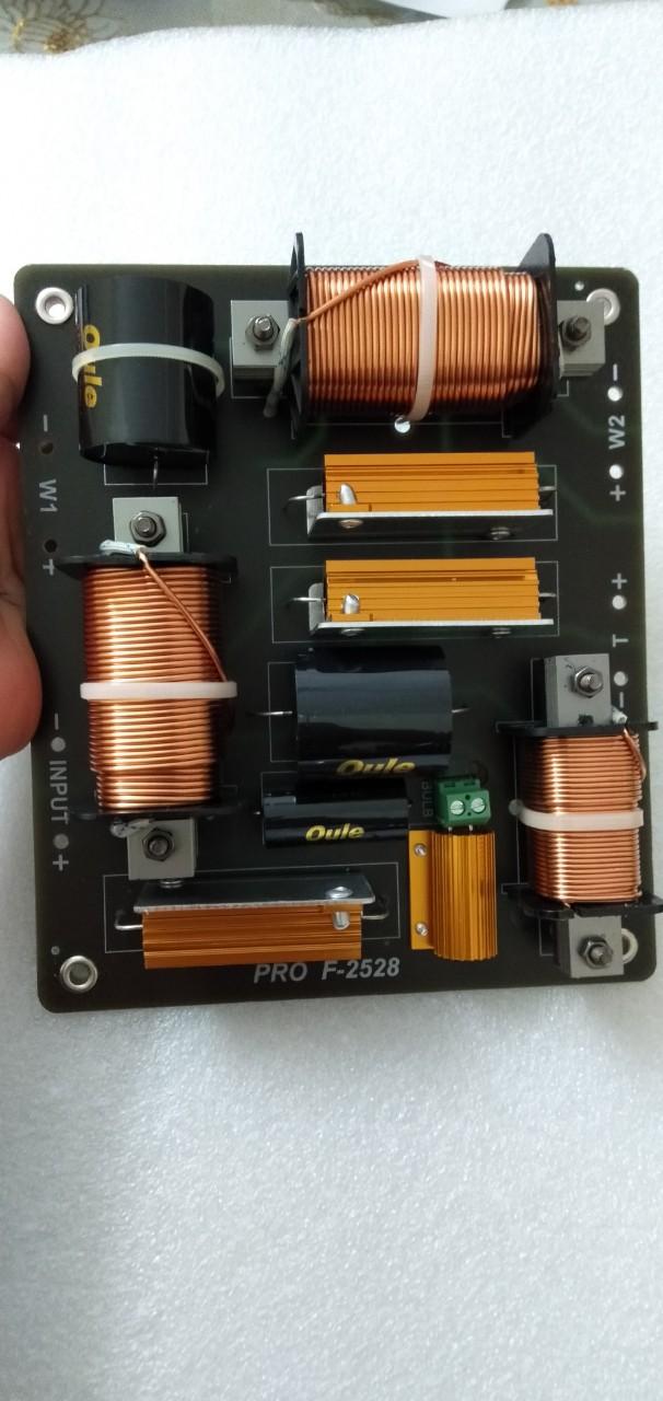 Phân tần loa PRO F-2528 - Điện Tử Nhật Anh