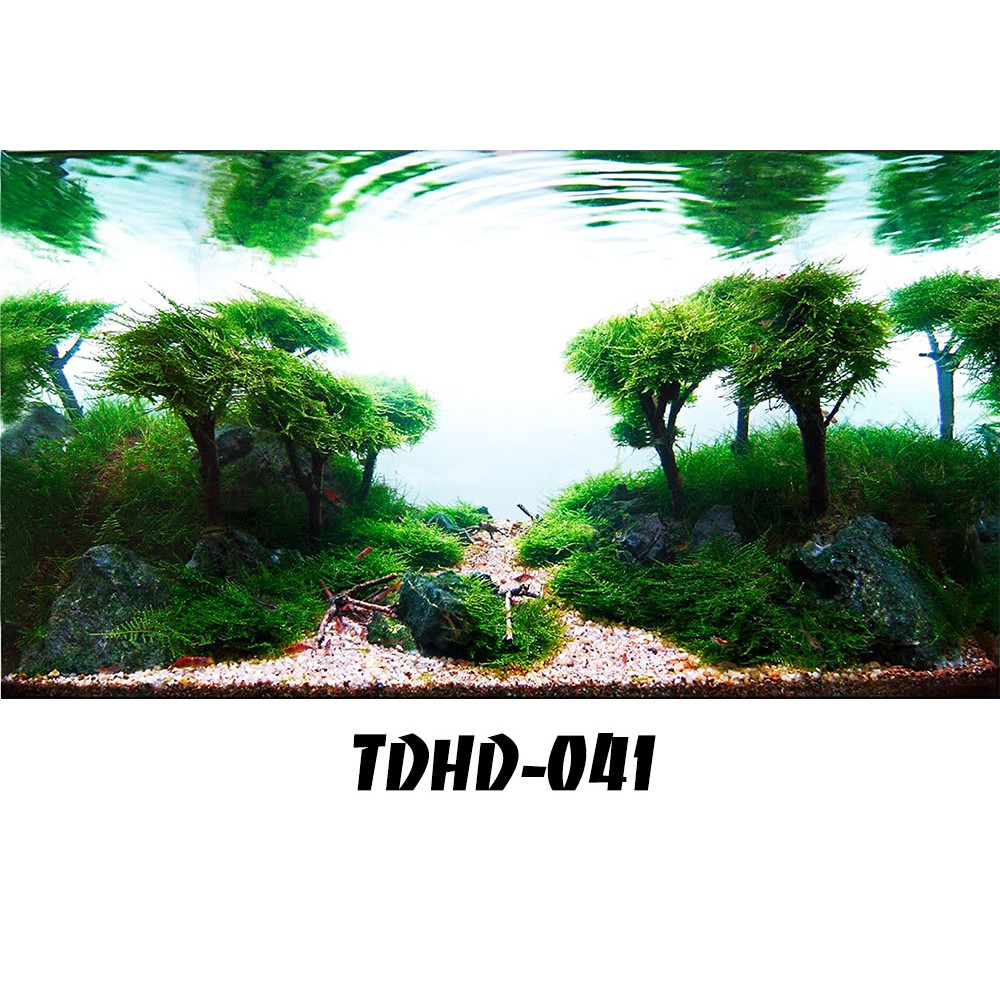 Tranh 3D bể cá mã TDHD-041 kt (60,80,90,100,1m2,1m5,1m6)