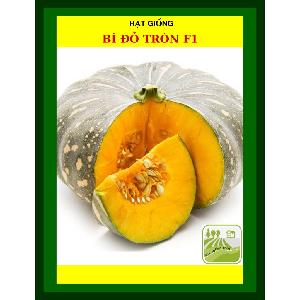 Hạt Giống Bí Đỏ Tròn F1 - 2G